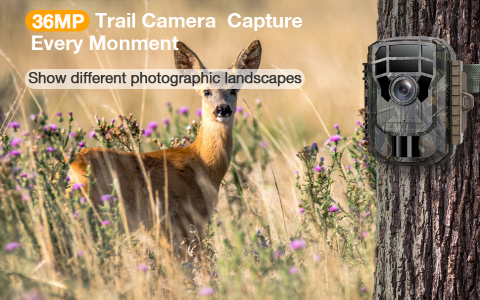ace hardware trail game camera