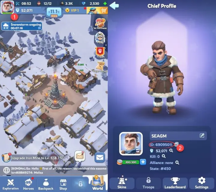 froststar whiteout survival