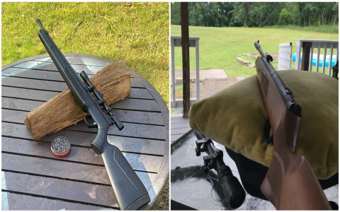 gamo swarm magnum 10x gen3i review