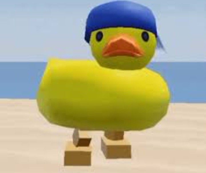 rubber duck meme duck with roblox face