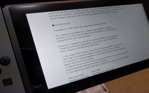 does nintendo develop hardware for their own games