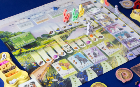 parks board game review