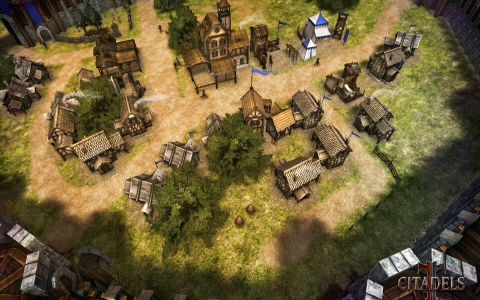 citadels game strategy