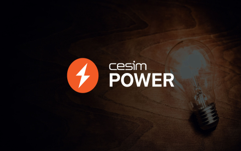electricity strategy game