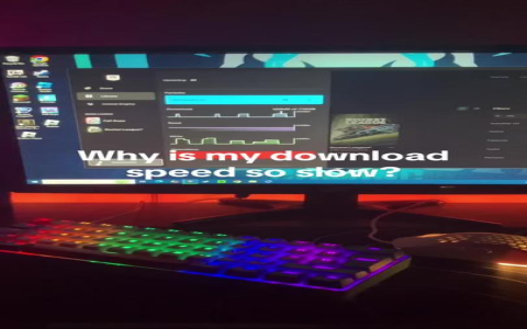 genshin impact download speed slow