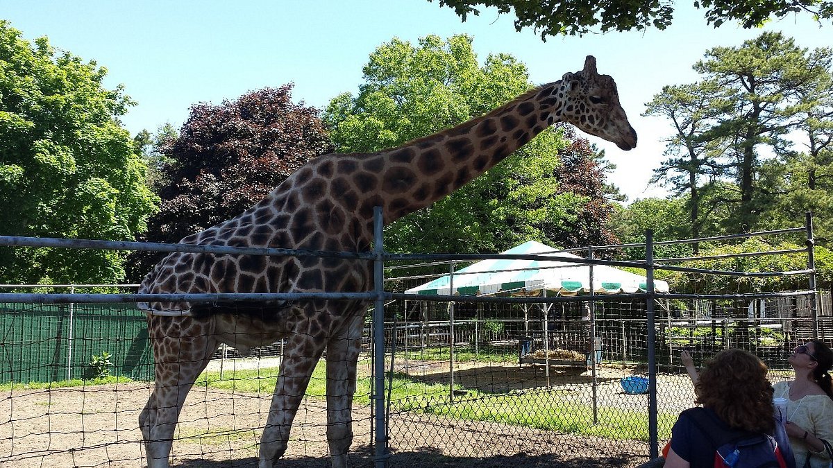 long island game farm reviews