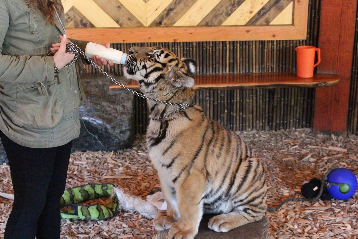 west coast game park safari reviews