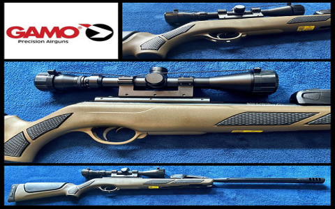 gamo varmint review
