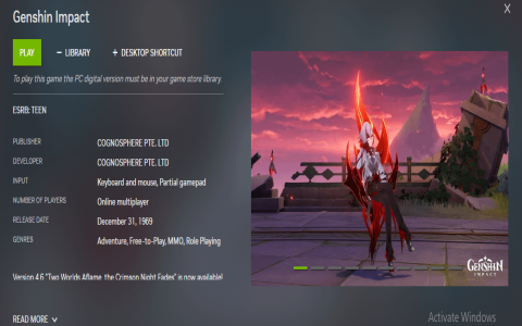 genshin impact mmo