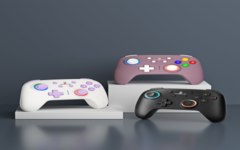 common hardware companies used in game systems