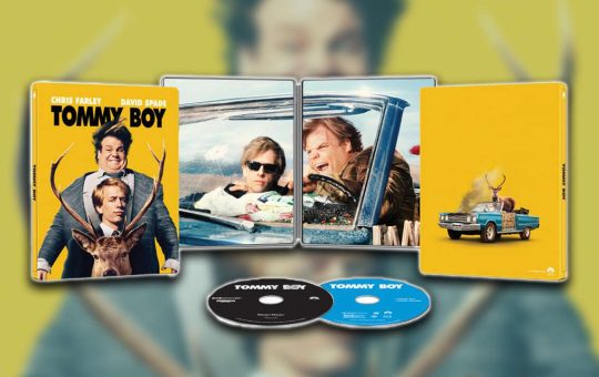 4424574-tommyboy.jpg