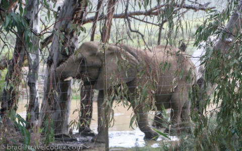 aquila game reserve reviews