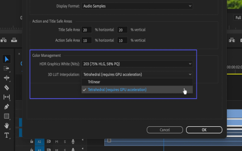 fix game is playing in hardware rendering mode