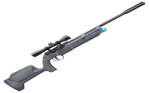 gamo wildcat whisper 22 review
