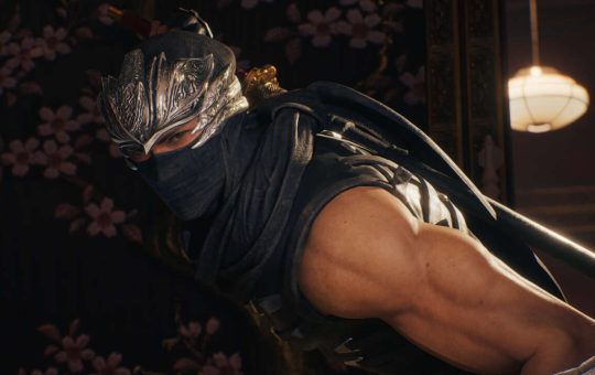 4442782-ninjagaidenblack2.jpg