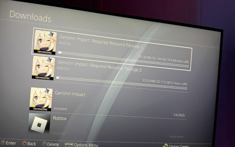 failed to connect to server genshin impact ps4