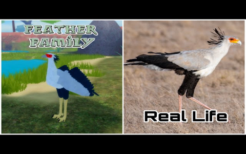 how to survive shapeshifter in feather family roblox