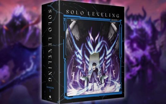 4477614-solo-leveling-le.jpg