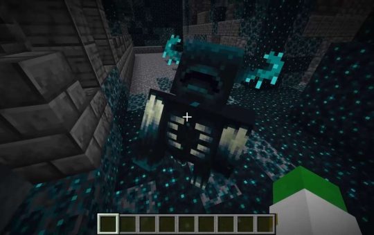 4497155-minecraft-warden.jpg
