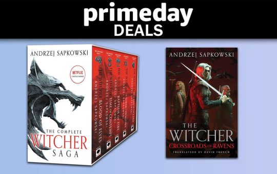 4526908-witcherbooks.jpg