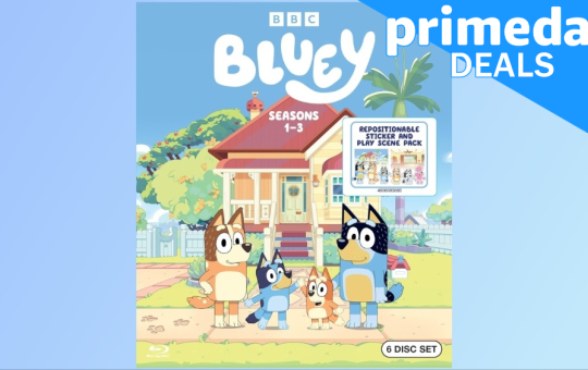 4530676-blueyboxset.png