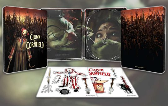 4532631-clown.jpg