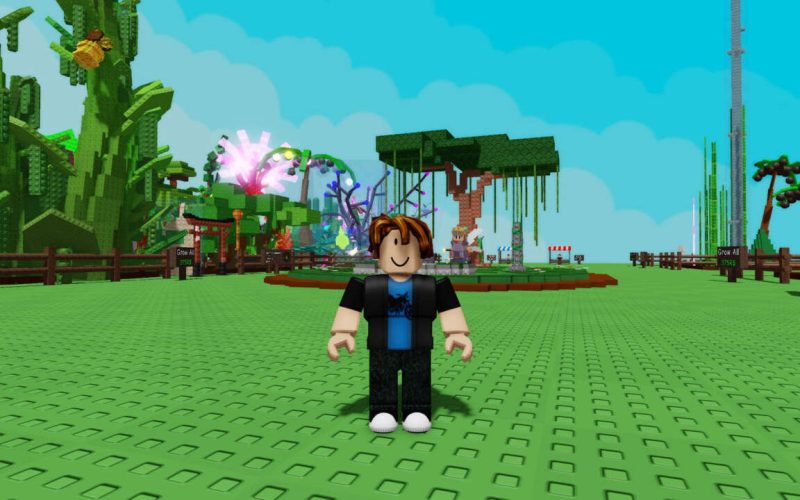 4559479-grow-a-garden-cheats-console-commands.jpg